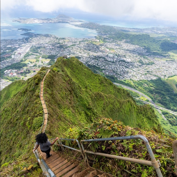 Meet your Posher, Coco - Picture 3 of 4